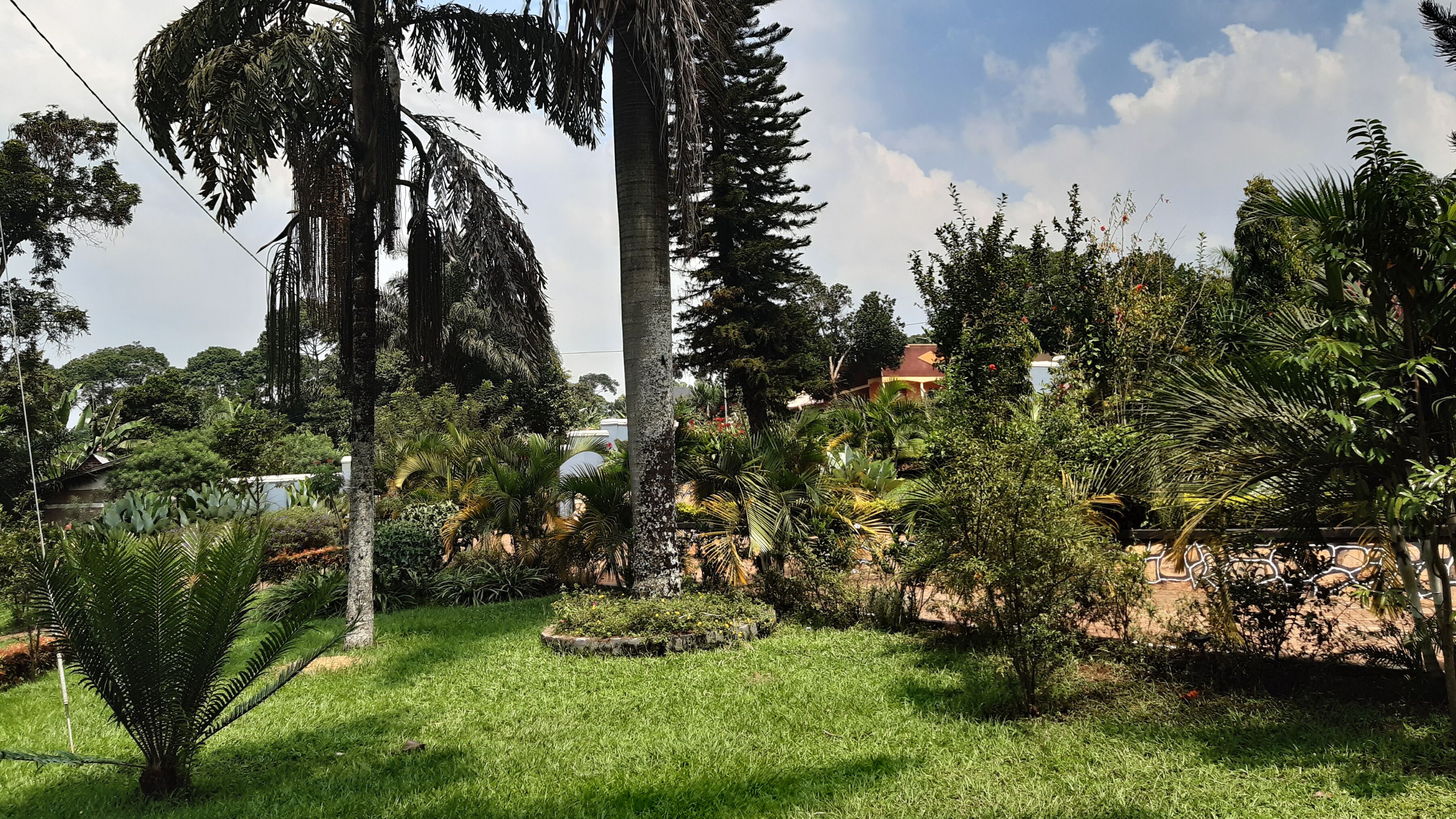 A lush garden with various tropical plants and trees, a well-maintained lawn, and a stone wall in the background.