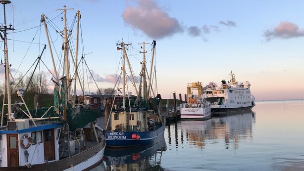 Un puerto con varios barcos pesqueros amarrados, agua tranquila y cielo despejado.