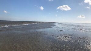 Una playa con cielos despejados y olas suaves.