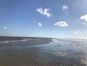 Una spiaggia nelle vicinanze