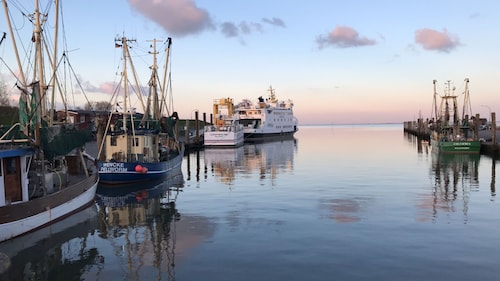  'Fewo Seestern' mit Gemeinschaftsgarten und Wi-Fi