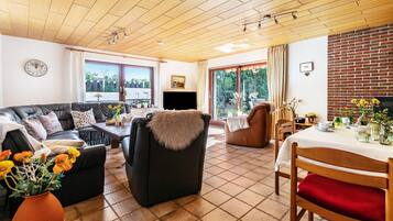 Televisión, chimenea