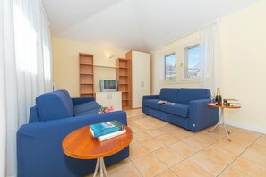 تلفزيون، مشغل دي في دي