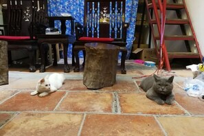 Interior - Jinshidi Inn (Guangzhou)