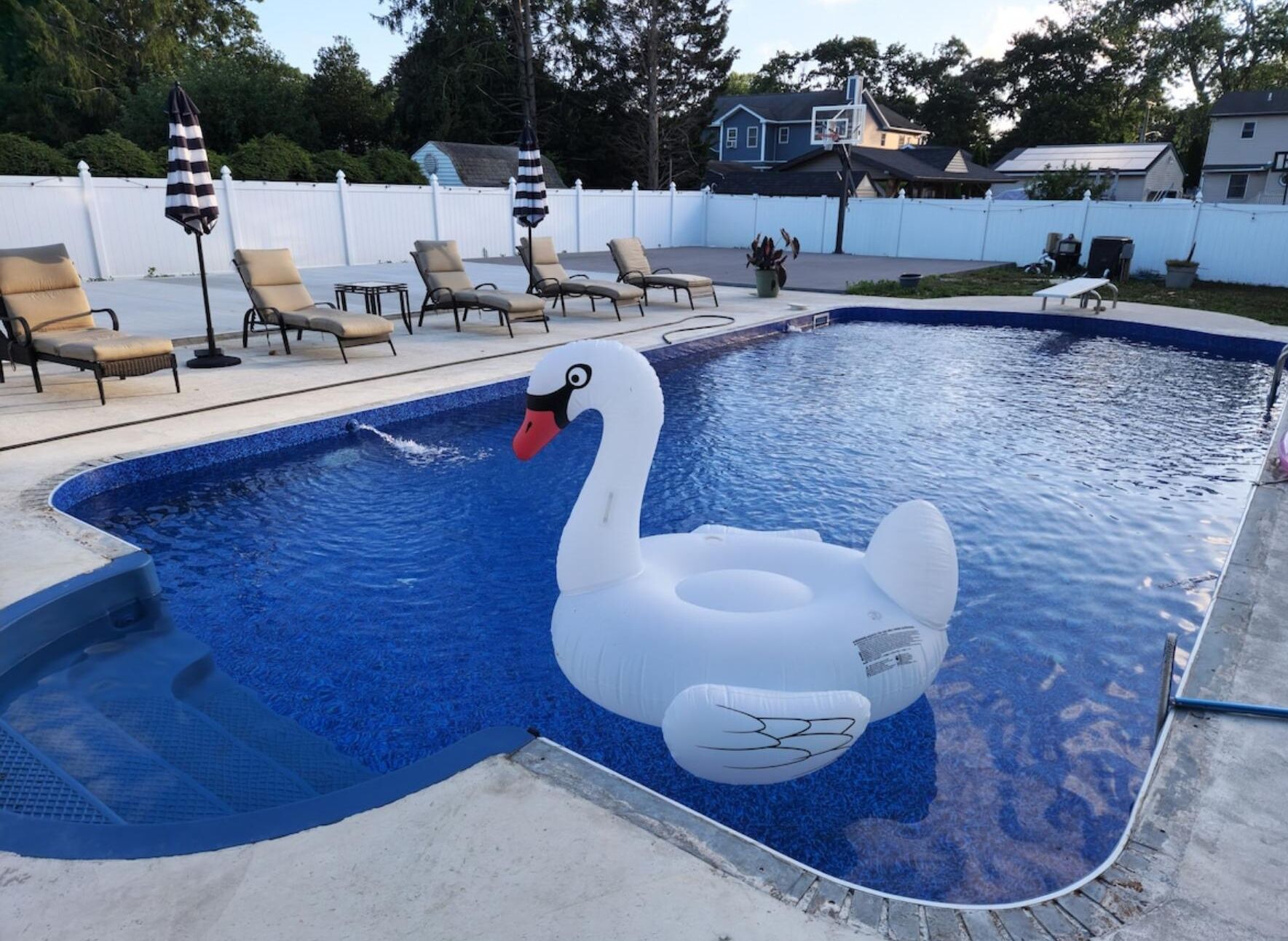En swimmingpool med en svane-flydeelement, liggestole og et hvidt hegn i baggrunden.