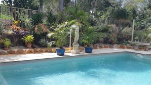 Une piscine entourée d’une variété de plantes en pot et d’un mur de pierre.