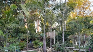 Un jardin bien entretenu, agrémenté de diverses plantes tropicales et doté d’un élément central circulaire en pierre.