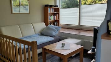 Televisor, llibres, biblioteca musical i estèreo