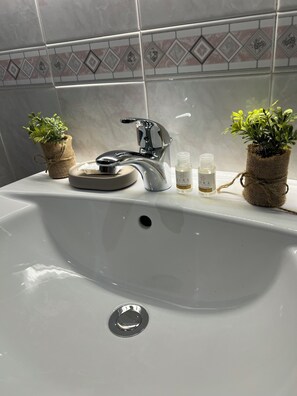 Regadera, secadora de cabello, bidet, toallas 