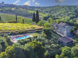 A villa with a swimming pool surrounded by lush greenery and vineyards.