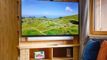 Smart TV, fireplace, books, stereo