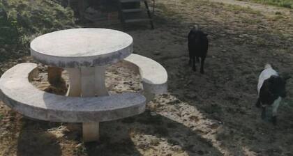 Roulotte en Total Déconnections