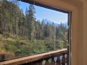 Enjoy breathtaking views of the surrounding forest and mountain peak from the comfort of your room.