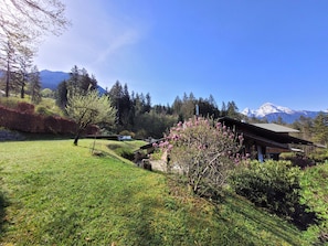Escape to a serene mountain retreat surrounded by lush trees and a picturesque cabin.