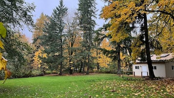 Escape to a serene cabin surrounded by tall evergreen trees and a well-maintained lawn.