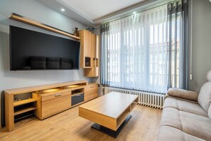 Flat-screen TV - Vitoshka's Finest (Sofia)