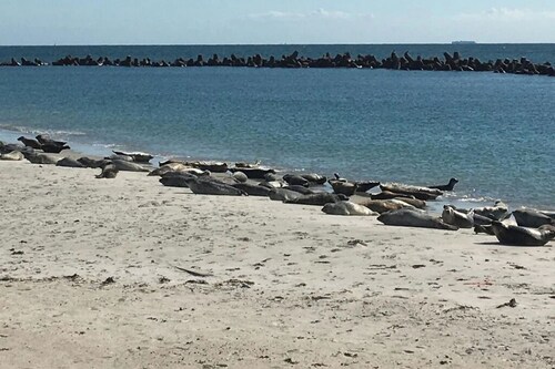 Neu! Traumhaftes Ferienhaus mit gehobener Ausstattung wartet auf Sie!