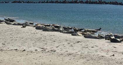 New! Fantastic vacation home with upscale furnishings awaits you!