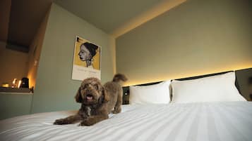Een hond op een bed met gestreepte witte lakens, een muur met een ingelijst schilderij, en een nachtkastje met een lamp en een fles.