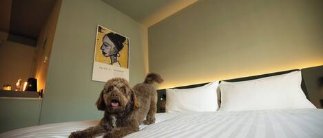 Un perro sobre una cama con ropa de cama a rayas blancas, una pared con un cuadro enmarcado y una mesita de noche con una lámpara y una botella.