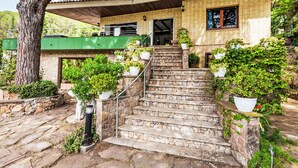 A stone staircase leading to a brick house with a green roof, surrounded by potted plants and a large tree.