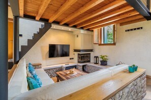 TV, fireplace