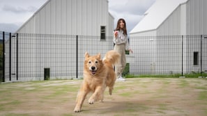 Commodités adaptées aux animaux
