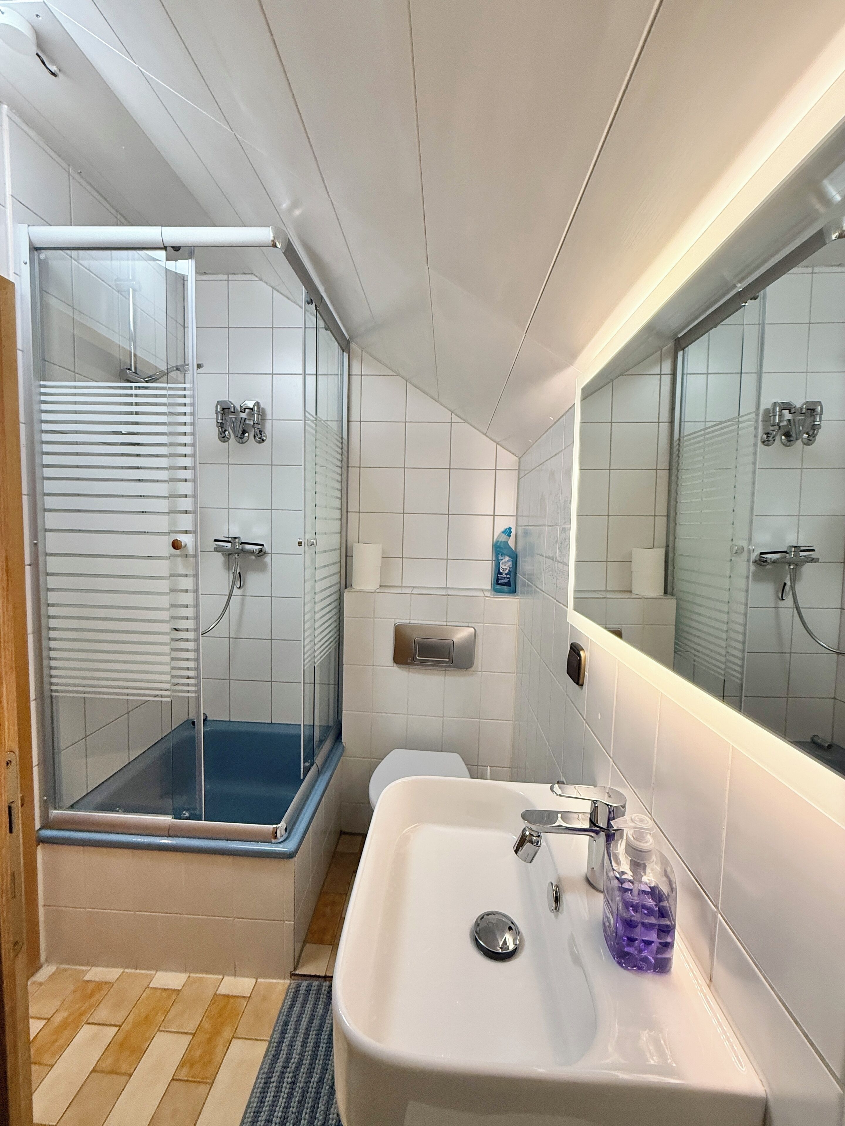 Dusche, Haartrockner, Handtücher, Seife