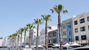 A row of palm trees lining a street with multi-story buildings, including a hotel named "Bondi Backpackers". - La Casa De Frida  (Bondi Beach)