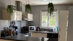 Eine moderne Küche mit einer zentralen Kochinsel, roten Barhocker, hängenden Pflanzen und einem Fenster, das für natürliches Licht sorgt.