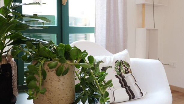 A room with a white chair, a small table with a plant, and a window with curtains.