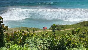 A coastal view with a person in a red shirt standing on a grassy slope overlooking the ocean. - Villa Mahina, surfing and panoramic ocean views! (Le Moule)