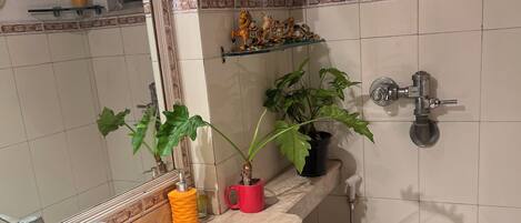 Dutxa, assecador de cabells, tovalloles i sabó