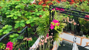 施設の敷地