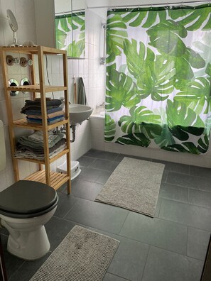 Hair dryer, towels, soap, toilet paper