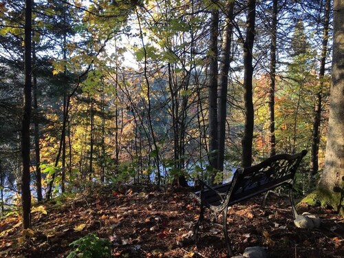 Ecology, between forest and river - L'Hermine Charme