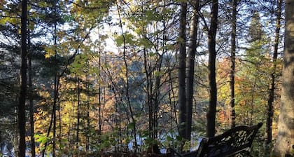 Ecology, between forest and river - L'Hermine Charme
