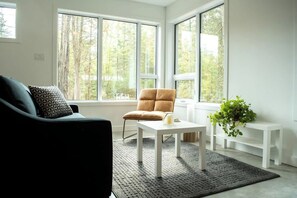 TV, fireplace, offices