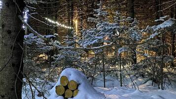 Áreas de la propiedad