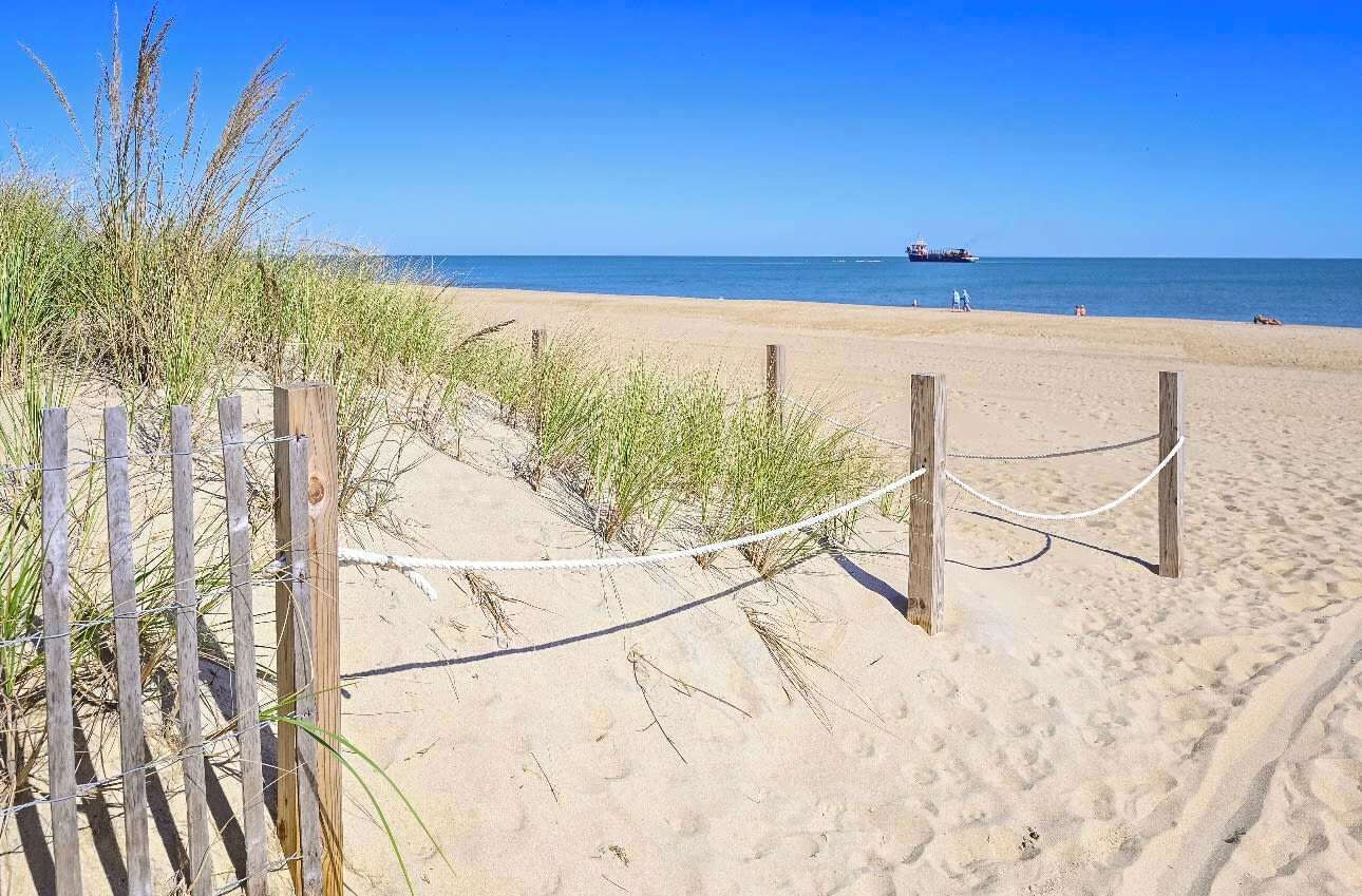 A sandy beach with a wooden fence and rope barrier, a clear blue sky, and a ship in the distance.