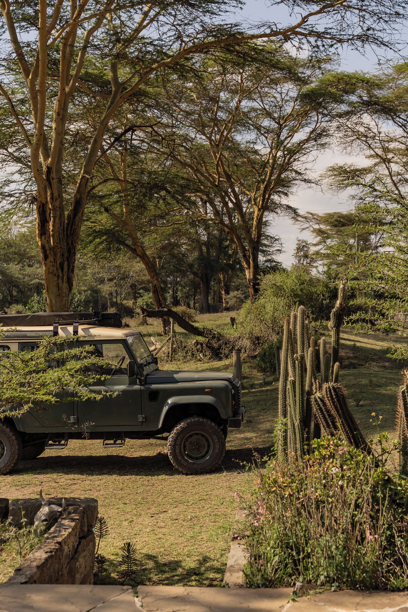 Jardines del alojamiento