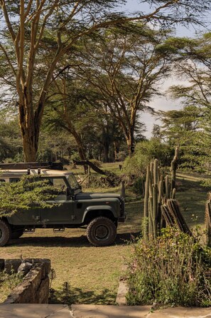 Enceinte de l’hébergement