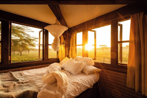 Unique 2-story tower with 360° wildlife views and stargazing showers.