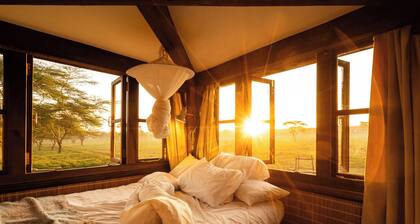 Unique 2-story tower with 360° wildlife views and stargazing showers.