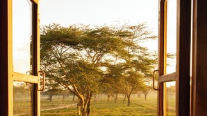 An open wooden door leading to a grassy field with trees. - Unique 2-story tower with 360° wildlife views and stargazing showers. (Naivasha)