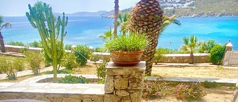 Estudio superior, vista al mar | Terraza o patio