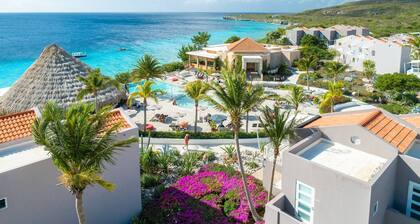 Blue Horizon Villa Infinity Pool Ocean Views