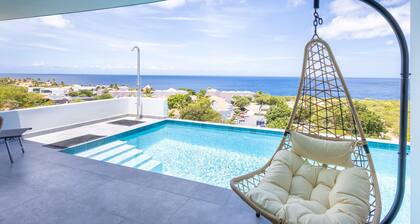 Blue Horizon Villa Infinity Pool Ocean Views