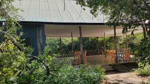 A covered outdoor area with a metal roof, surrounded by dense greenery and trees. - Camp Seluu (Mloka)