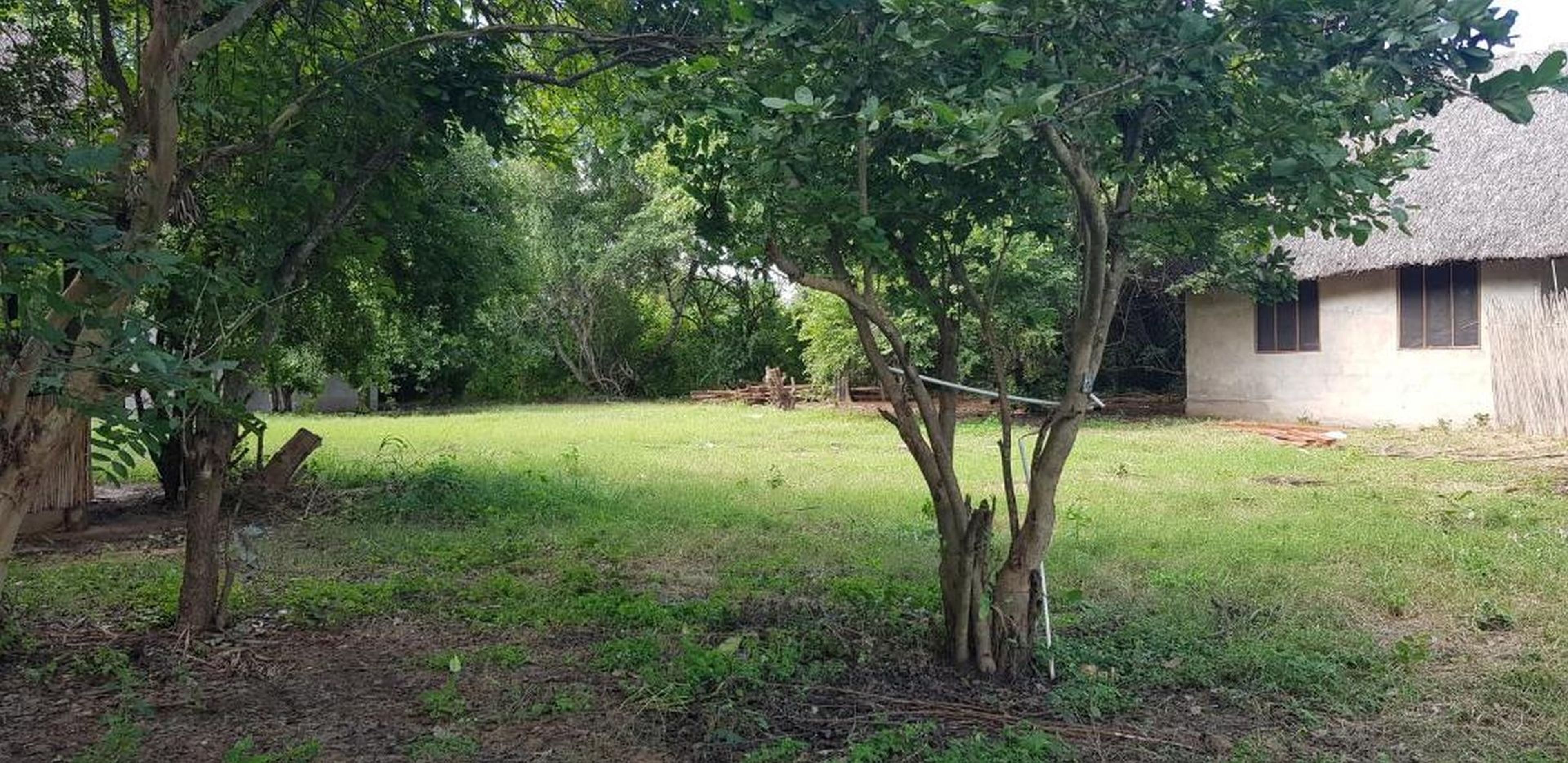 Una casa rústica con techo de paja, rodeada de un césped y árboles.